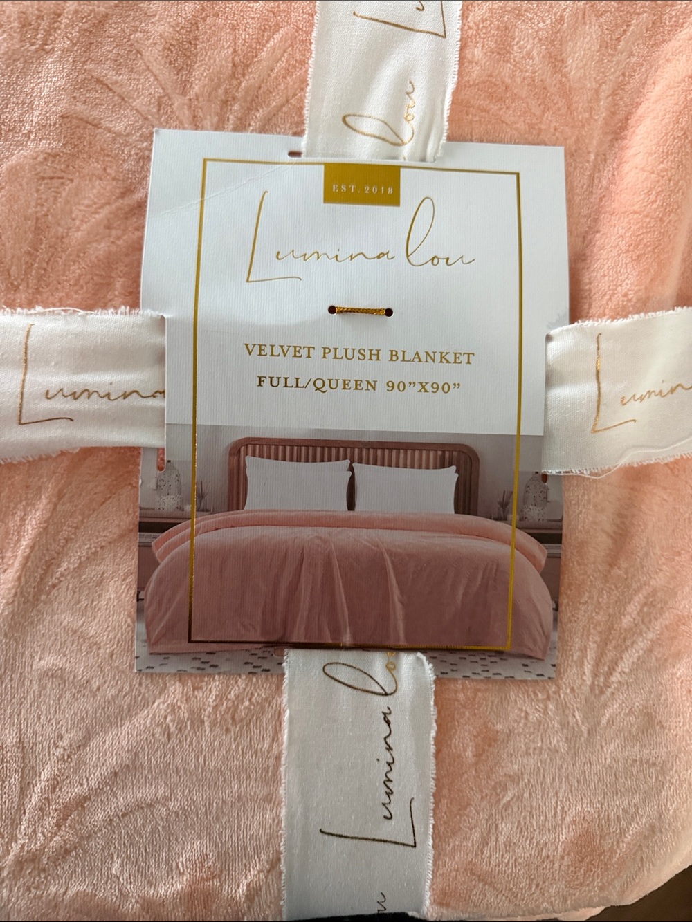 Velvet Plush Blanket - Blush Pink (Full/Queen)